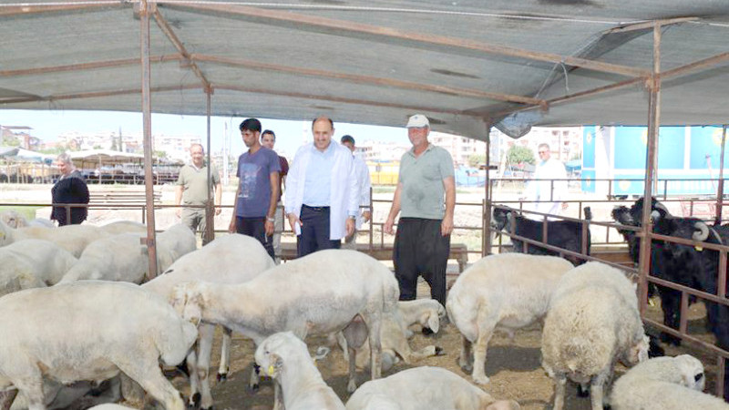 Kurban satış ve kesim yerleri belirlendi