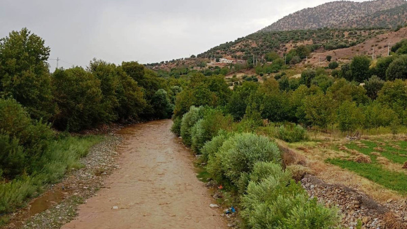 Yağmur Çaya hayat verdi