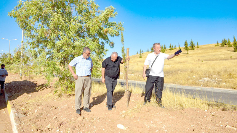 Yeşil Kuşak Ağaçlandırma Projesi ilerliyor