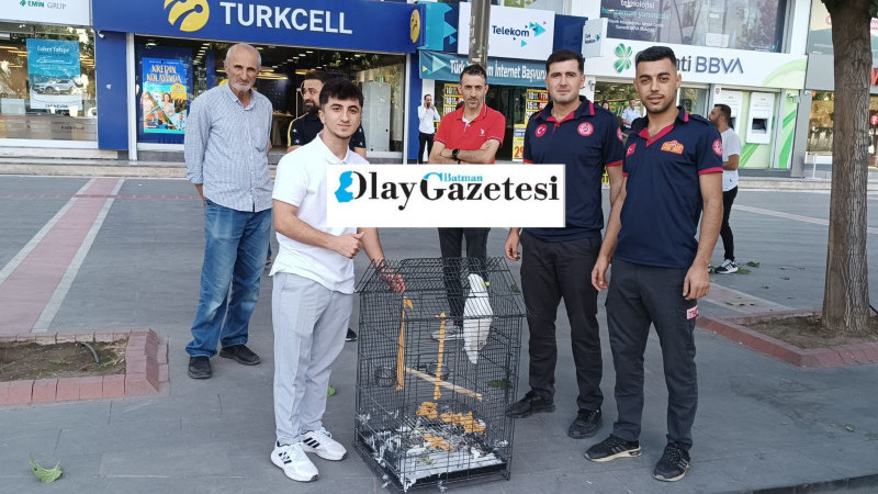 KAFESTEN KAÇAN YAKUP İSİMLİ PAPAĞANI İTFAİYE YAKALADI