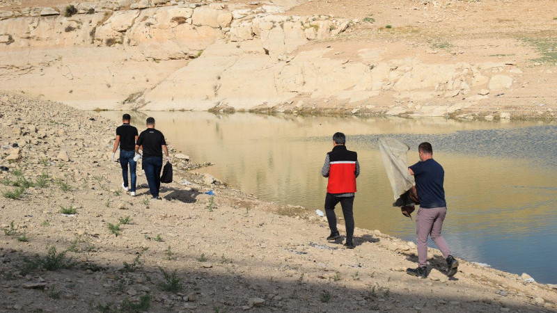 Batman'da toplu balık ölümleri için inceleme başlatıldı