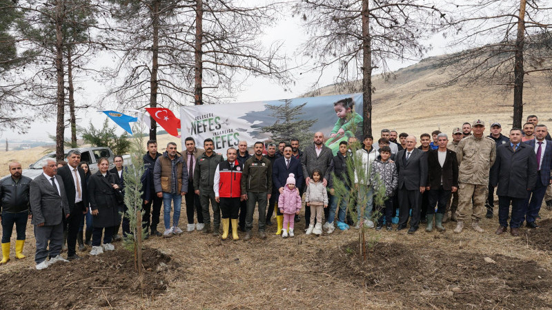 Üniversite kampüs için fidan dikimi gerçekleşecek