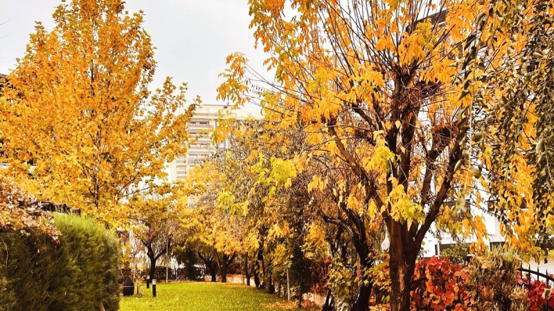 Sonbaharın Güzelliği Müzepark’ta yaşanıyor