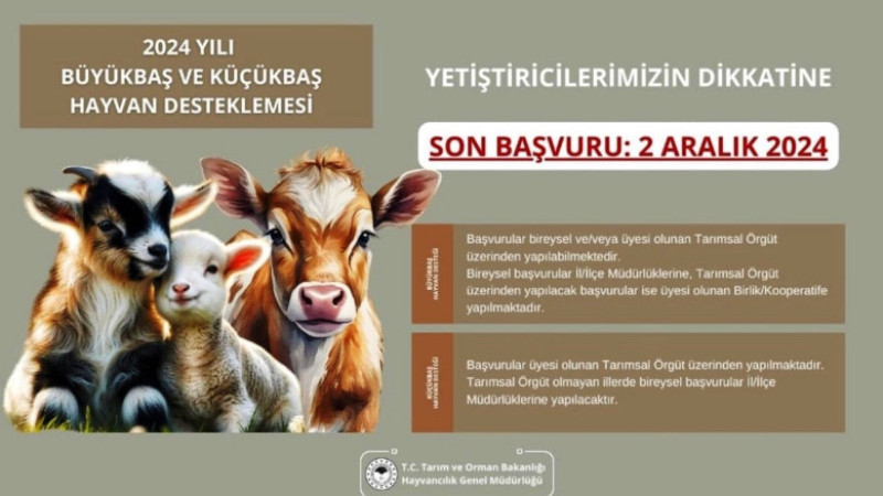 Destekleme Programı için başvurular başladı