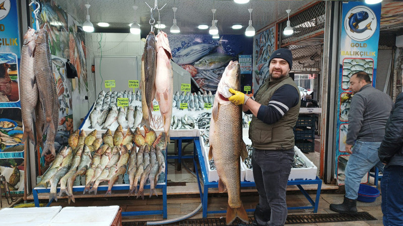 Batman’da 45 kilo, ağırlığında 1 metre 50 santim uzunluğunda turna balığı tezgahta