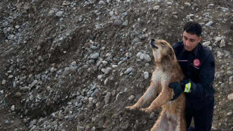 KÖPRÜ ALTINDA MAHSUR KALAN KÖPEĞİ İTFAİYE KURTARDI