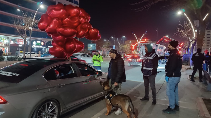 BATMAN’DA YILBAŞI DENETİMİNE NARKOTİK KÖPEĞİ MAİLO 'DA KATILDI