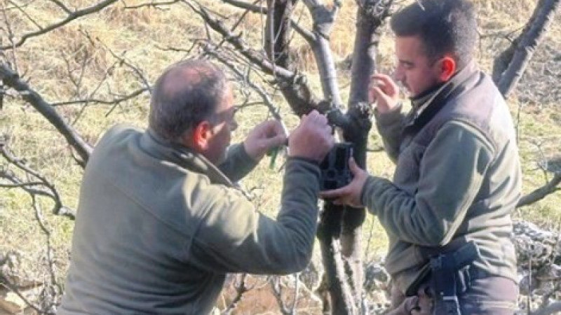 Batman’da yaban hayatı koruma çalışmaları hız kazandı